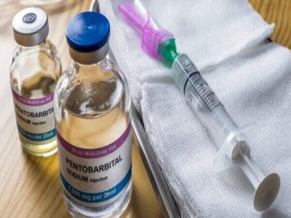 ADHD Management Techniques and PTSD Recovery Strategies with Pentobarbital Sodium: Investigating Central Nervous System Depressants, Clinical Guidelines, and International Healthcare Standards