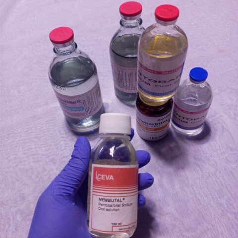 What drugs are used in human euthanasia?